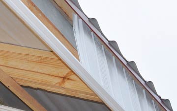 why Eden Park fascia repairs are essential